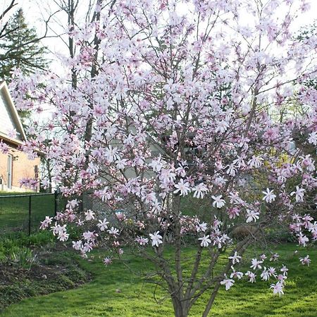 Carrousel Bed & Breakfast Cayuga Luaran gambar