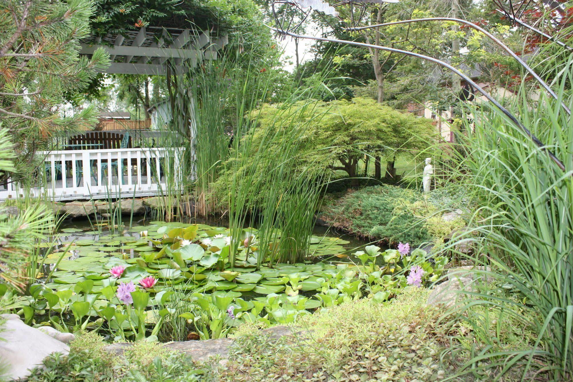 Carrousel Bed & Breakfast Cayuga Luaran gambar